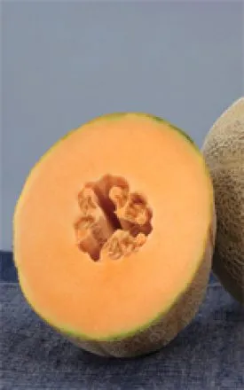 Cantaloupe - Earlichamp Hybrid (Seeds)